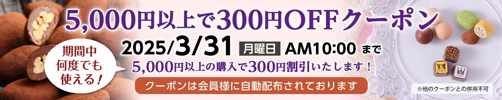 5000円以上で300OFFクーポン